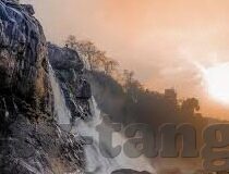 大象成视频入口-探索大象成视频入口的独特魅力与无限可能