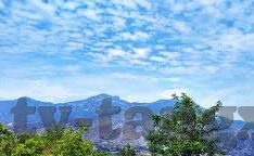 高清在线成人视频-高清在线成人视频，现代生活的一道独特风景