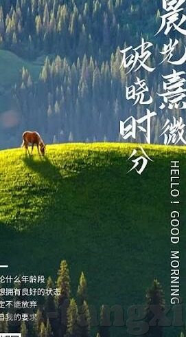 国产精品一区二区av-国产精品一区二区AV的多元视角与文化探讨