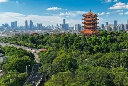 果冻传媒在线观看九一制片厂-网络娱乐新视界，果冻传媒与九一制片厂在线观影体验探索