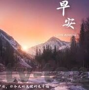 麻豆视频播放器-探索麻豆视频播放器，从技术革新到用户体验的全面剖析