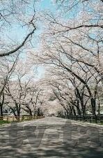 日韩av无码视屏-日韩AV无码视频的误解与现实